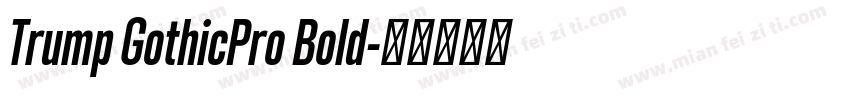 Trump GothicPro Bold字体转换